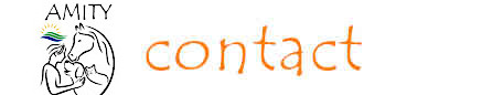 Contact Amity Life